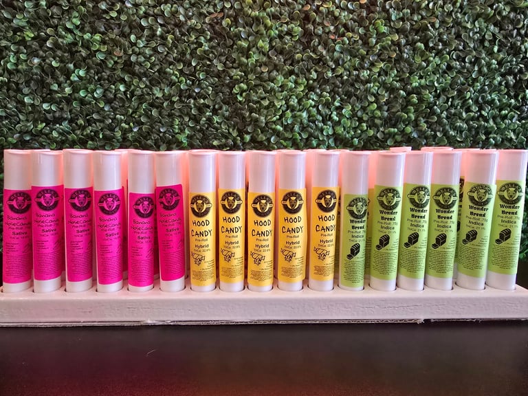 Row of colorful cosmetic lip balm or spray bottles in pink, orange, and green shades arranged on a white shelf against a green foliage backdrop