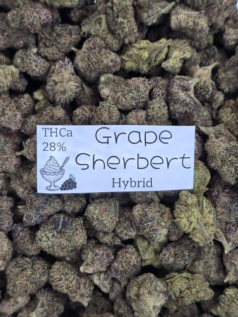 Close-up of Grape Sherbert cannabis buds with label showing THCa 28% and Hybrid strain designation