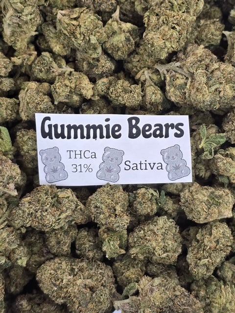 Close-up of dried cannabis flower buds with a white label reading Gummie Bears THCa 31% Sativa
