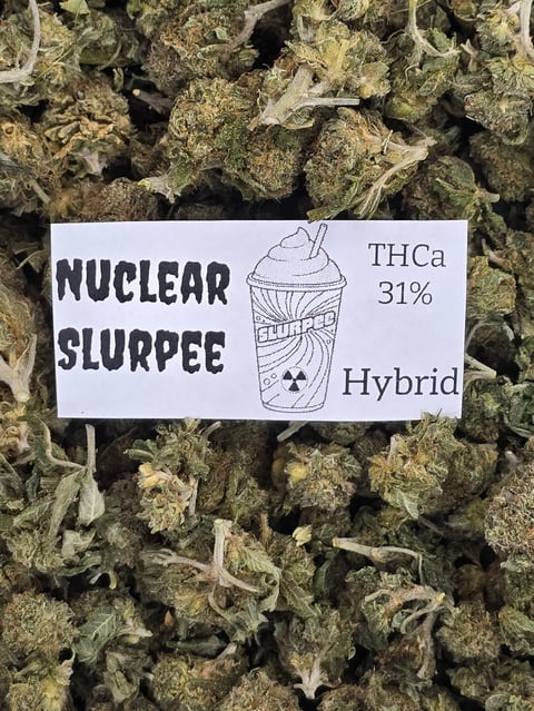 Label for Nuclear Slurpee cannabis strain showing THCa 31% hybrid potency on bed of dried cannabis buds